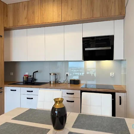 Elite 15 Min To Old Town Apartman Gdańsk